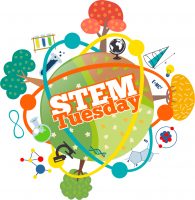STEM Tuesday -- Brain/Psychology -- Book List
